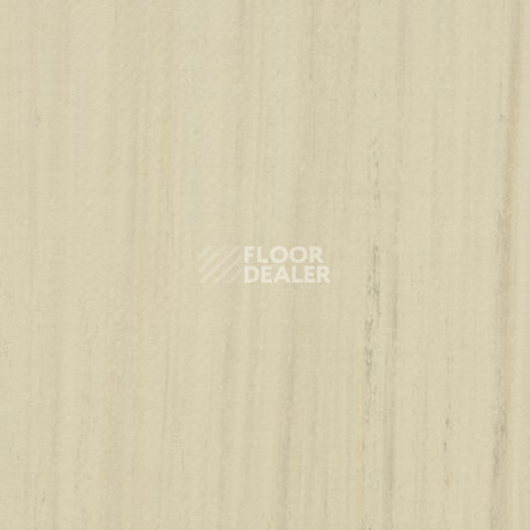 Линолеум Forbo Marmoleum Linear Striato Original 3575 white cliffs фото 1 | FLOORDEALER